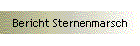 Bericht Sternenmarsch